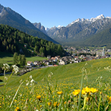 Wahlen bei Toblach im Sommer